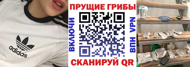 Псилоцибиновые грибы ЛСД  купить наркотики цена  Мамоново 